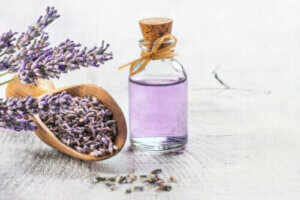 De 6 bedste medicinske planter med videnskabelig evidens