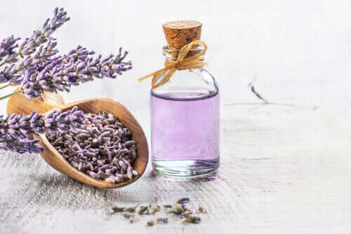 De 6 bedste medicinske planter med videnskabelig evidens