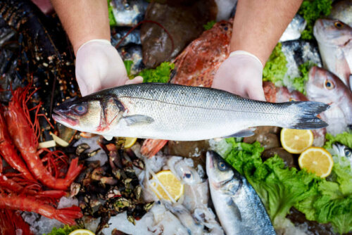 Rå fisk symboliserer effekterne af kviksølv