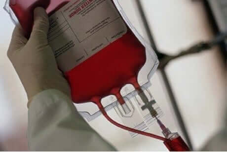 Blod til transfusion