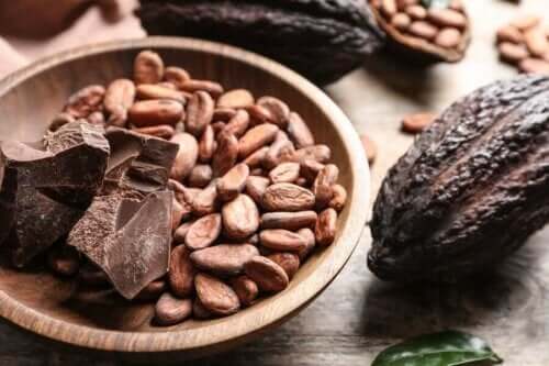 Kakaobønner og chokolade