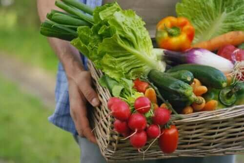Grøntsager er fødevarer fattige på natrium