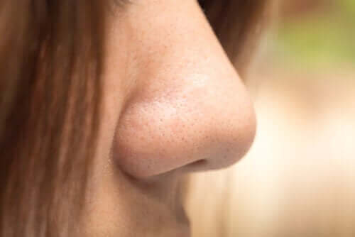 De forskellige næseformer: Hvad er din?