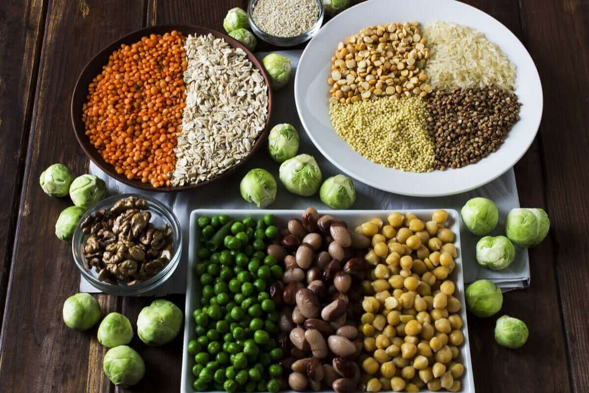 Plantebaserede proteiner bør også indgå i vores kost, men det er mindre fordøjeligt end animalsk protein