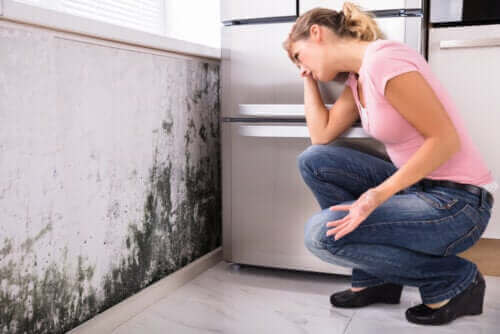 Kan skimmelsvamp i huset føre til sundhedsproblemer?