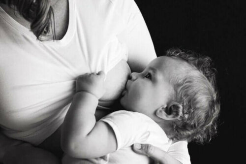 Baby ammes
