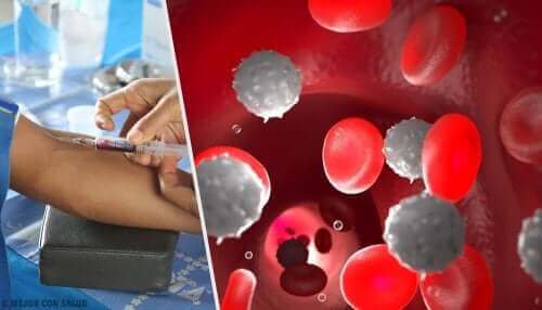 Blodprøve kan tjekke anvendelsen af non-opioide smertestillende