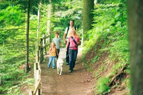 Familie på skovtur som eksempel på gode udendørs aktiviteter til efteråret