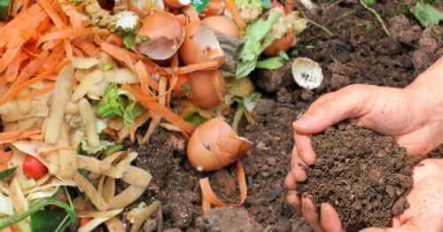 Hjemmelavet kompost for at passe på miljøet