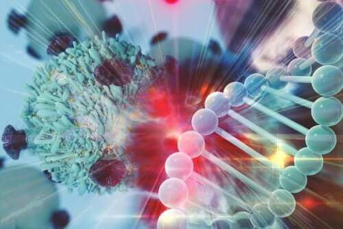 Illustration af, at immunsystemet kan bekæmpe kræftceller