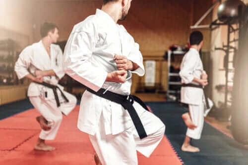 Forskellene på karate og taekwondo