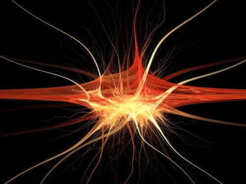 Nerve