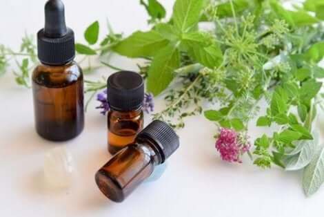 Æteriske olier som denne kan hjælpe mod svamp