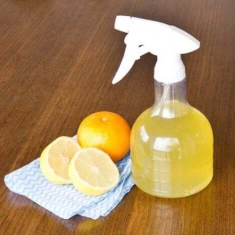 Væske af citrusfrugter i sprayflaske
