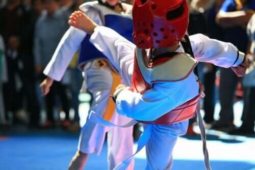 Taekwondo-kamp