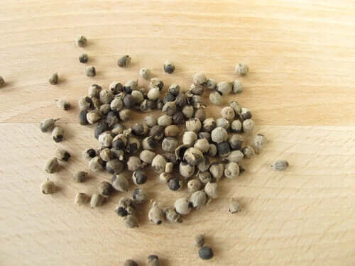 Tørrede medicinske planter