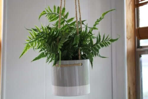 Eksempel på, hvordan man kan lave hængepotter