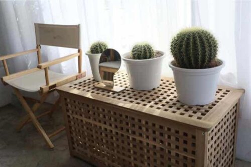 Indretning med planter