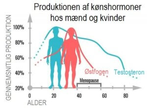 Hvad gør kønshormoner egentlig?