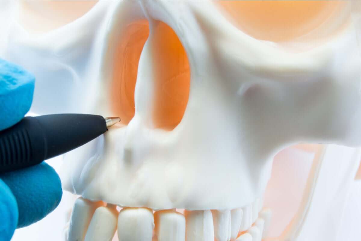 Kuglepen peger på næsebor i kranie