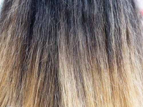 Nærbillede af slidt hår