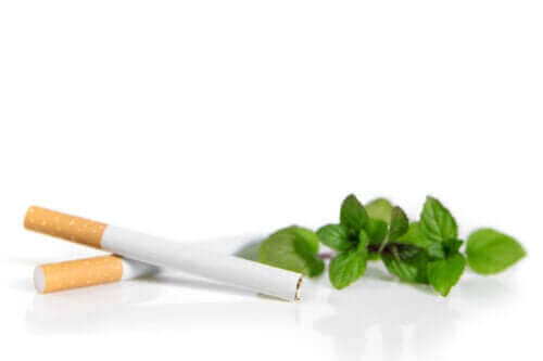 Mentolcigaretter kan være mere skadelige end almindelige
