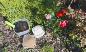 Karakteristika og anvendelse af Perlite