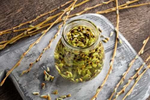 Yemoterapi urtemedicin: Fordele og anvendelsesmuligheder