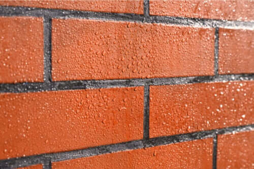 Sådan kan man beskytte mod skimmelsvamp på murstensvægge