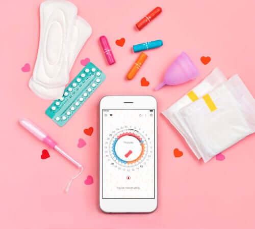 Hvilke hormoner påvirker menstruationscyklussen?