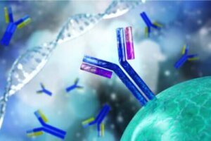 Karakteristika ved en test for antinukleære antistoffer