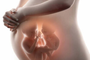 Superfetation eller blive gravid, mens du allerede er gravid