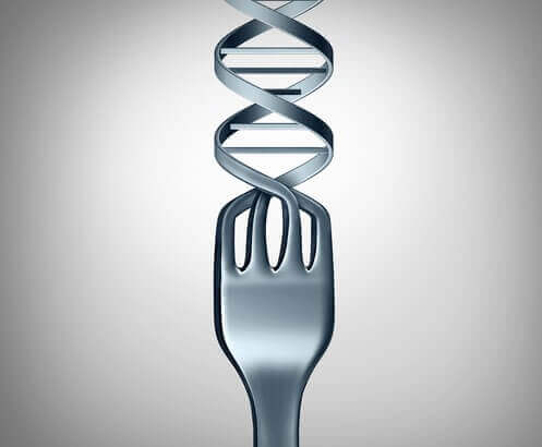 Ernæringsgenetik og forholdet mellem mad og gener