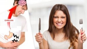 Ghrelin: Funktioner og virkningsmekanisme