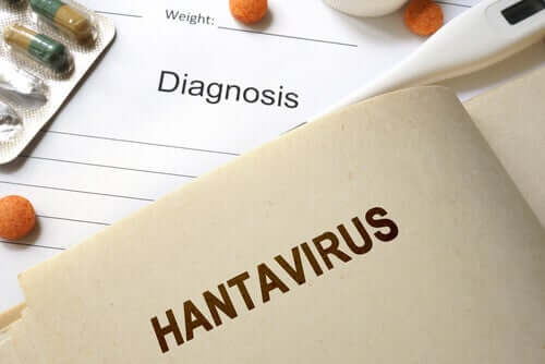 Hantavirusinfektioner: Hvad du behøver at vide