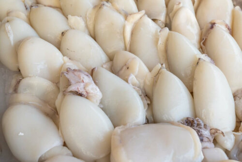 Mange rå blæksprutter