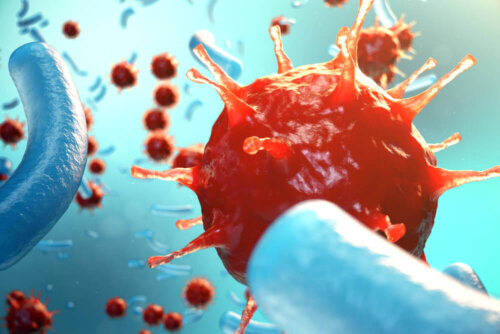 Hepatitis virus