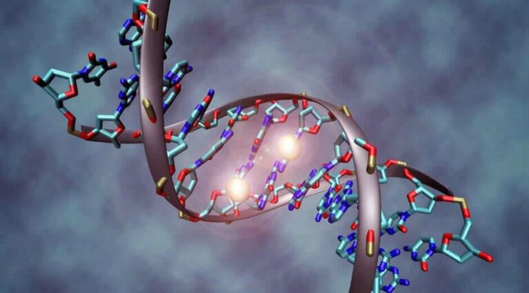 Alt, hvad du behøver at vide om DNA