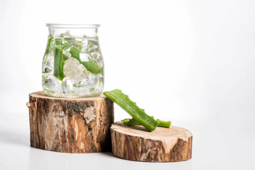 Aloe vera til at bekæmpe høfeber