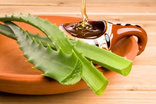Aloe vera og honning