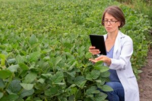 Bioidentiske hormoner: Potentielle fordele og risici