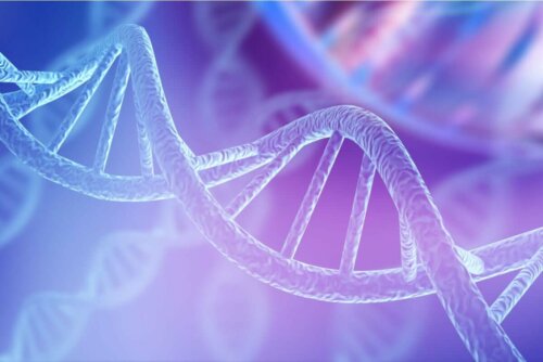 Der er spændende ting af lære om DNA