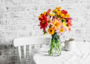 8 efterårsblomster til at plante i din have