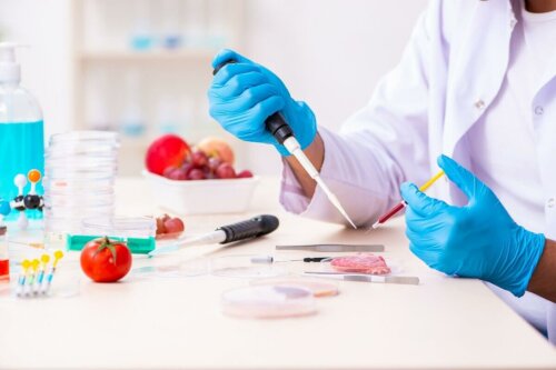 Laborant udvikler genetisk modificerede fødevarer
