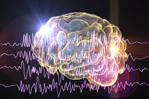 De 5 typer af hjernebølger