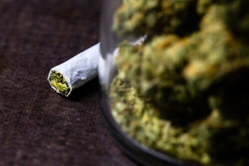 Marihuana til rekreationelt brug