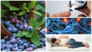 12 overraskende fordele ved at spise blåbær