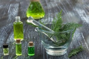 Cypres: Fordele og kontraindikationer