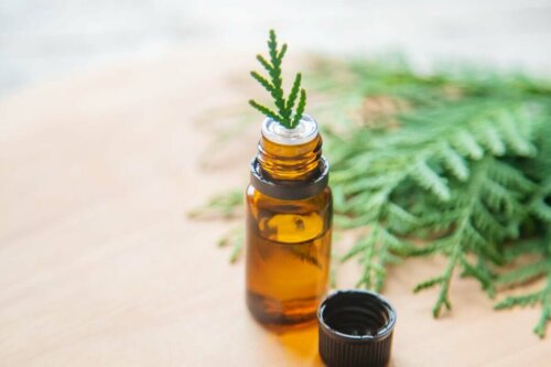 Olie fremstillet af cypres