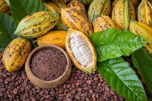 Fordelene ved kakao for sundhed og skønhed